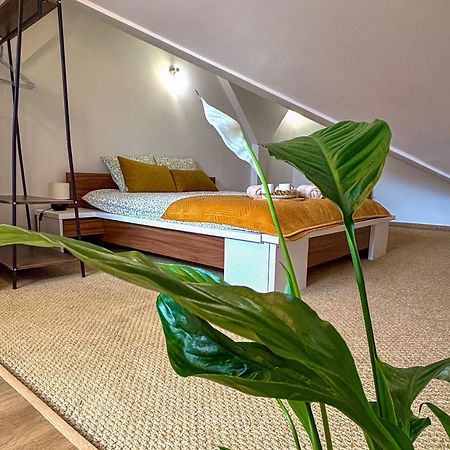 Sunset Apartment Cracow クラクフ エクステリア 写真